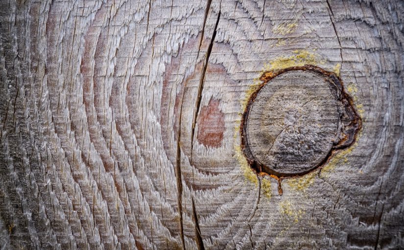 Tartak – Źródło Wyjątkowego Materiału Drzewnego: Buduj Z Zapałem i Trwałością.